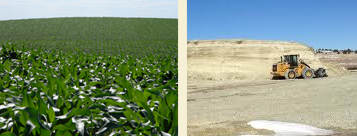 corn vs clay