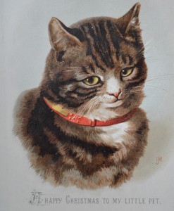 Early Helena Maguire cat, circa 1890