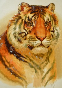 Helena Maguire's Tiger Cat