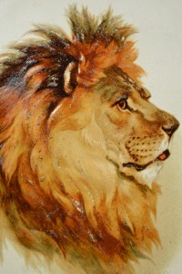 Helena Maguire's Lion Cat