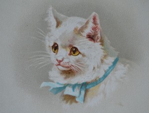 Helena Maguire's Mother Cat - Circa 1900