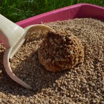 cat litter clump