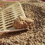 kitten litter scoop