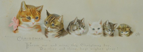 The Collecting Cat, Helen J. Maguire